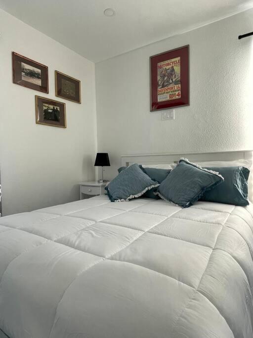 Villa The Paddock House At Blanco Texas Esterno foto